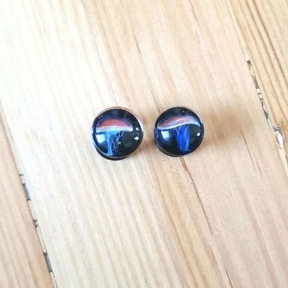 No Brand Tags Jewelry - Size 0 plugs